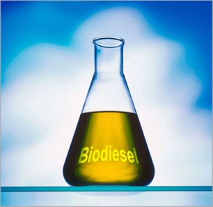 Consumo do biodiesel deve apresentar crescimento